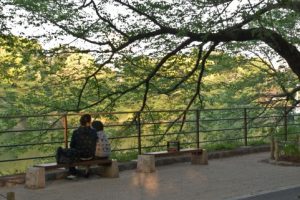 千鳥ヶ淵の緑道