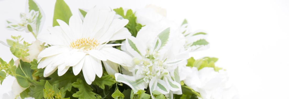 header image